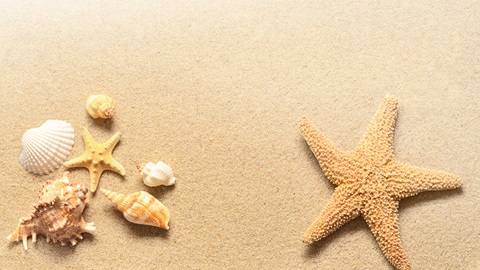 estrellamar